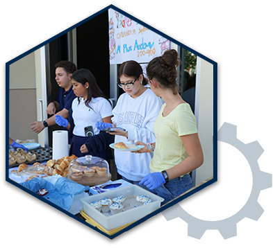 CTA Arts and Electives